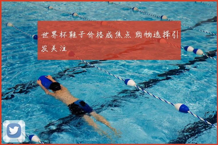 世界杯鞋子价格成焦点 购物选择引发关注