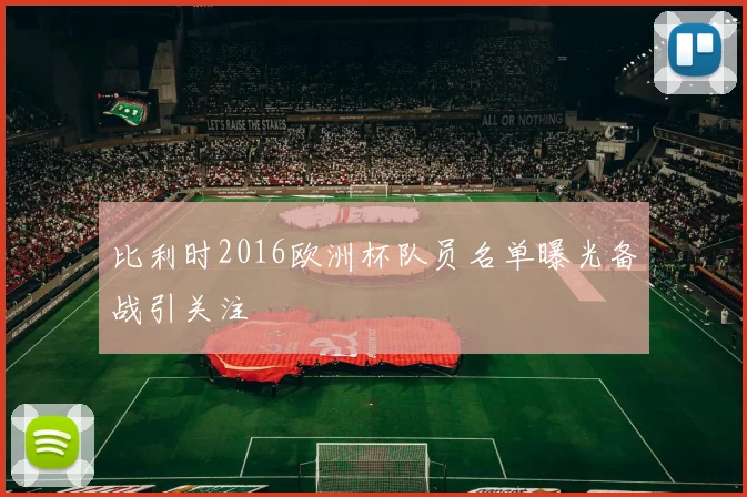 比利时2016欧洲杯队员名单曝光备战引关注