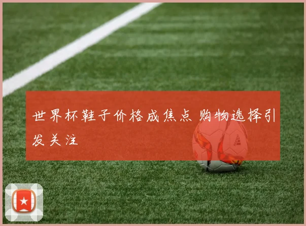 世界杯鞋子价格成焦点 购物选择引发关注
