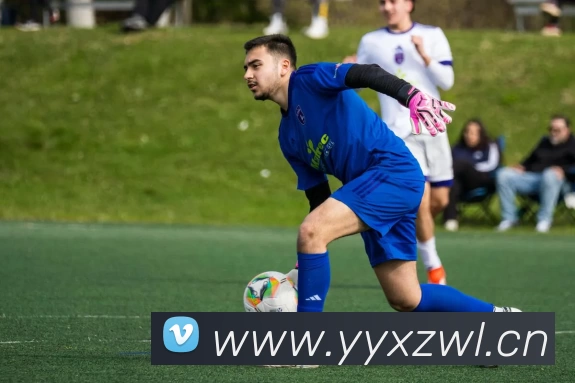 世界杯官方网络平台平台生态图